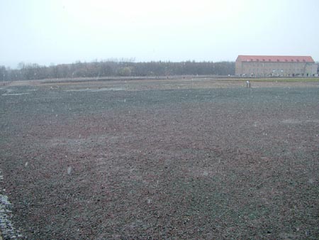DSCF0639