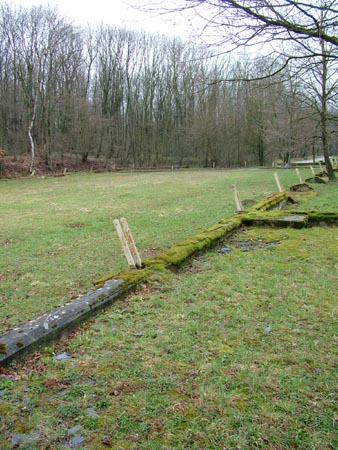 DSCF0682