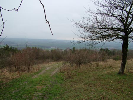 DSCF0686