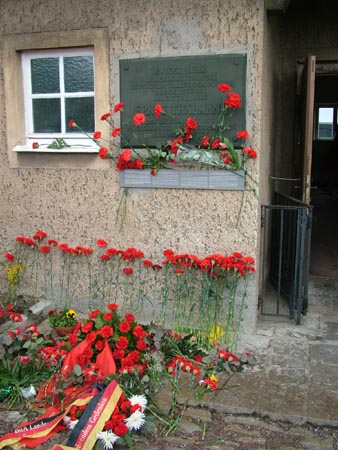 DSCF0749