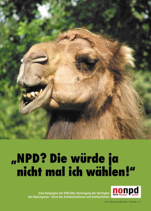 no npd